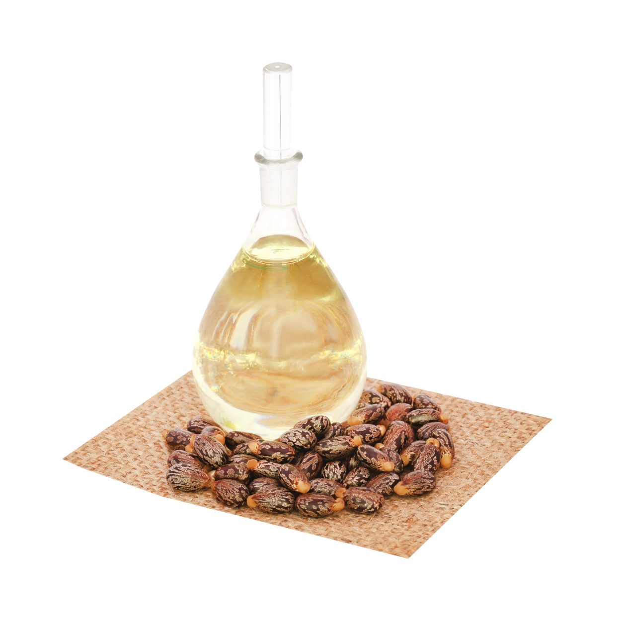 Organic Cold-Pressed Castor Oil Serum 100ml
